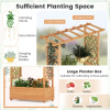 Raised Garden Bed with Arch Trellis & Hanging Roof – Wooden Vertical Garden Planter with Removable Bottom for Climbing Plants