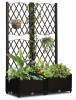 Wicker Trellis Planter, Outdoor Raised Garden Bed with Drainage Holes – Freestanding Vertical Garden Box & Privacy Screen